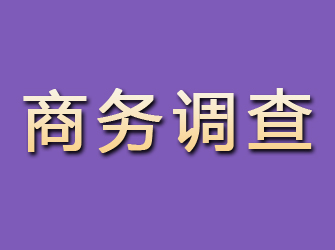 石屏商务调查